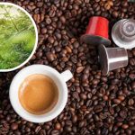 Caffè in cialde è allarme pesticidi