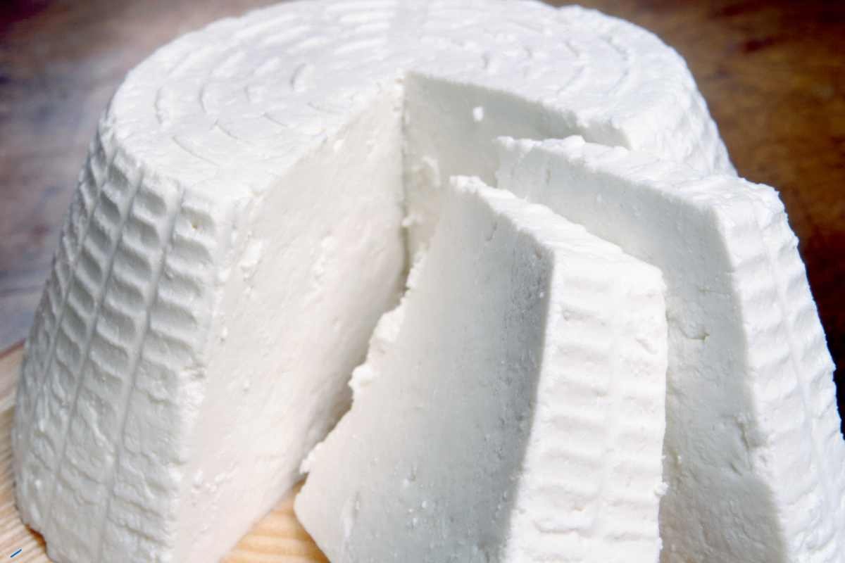 La ricotta di pecora 